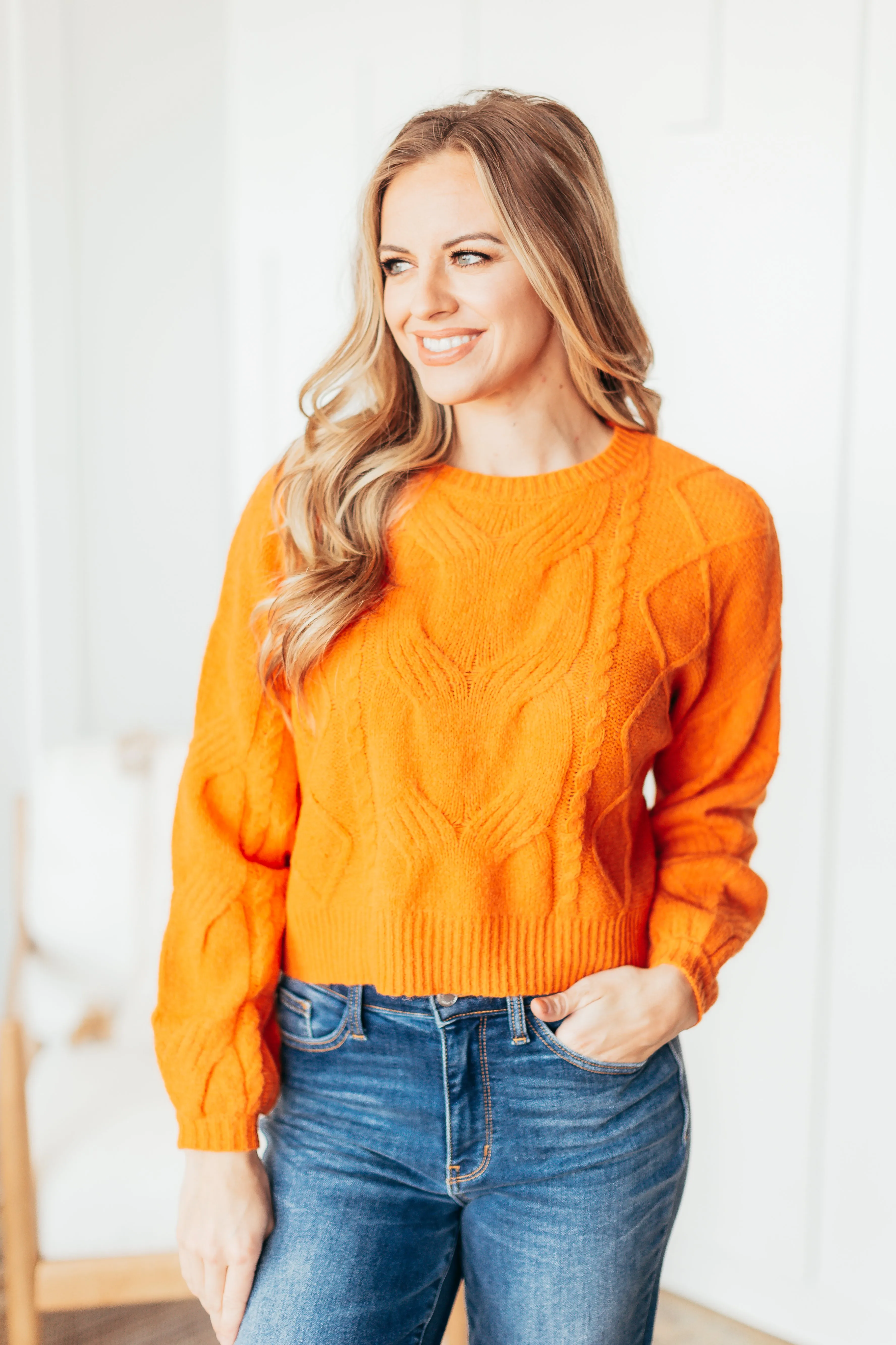 Micah Cable Sweater - 2 Colors