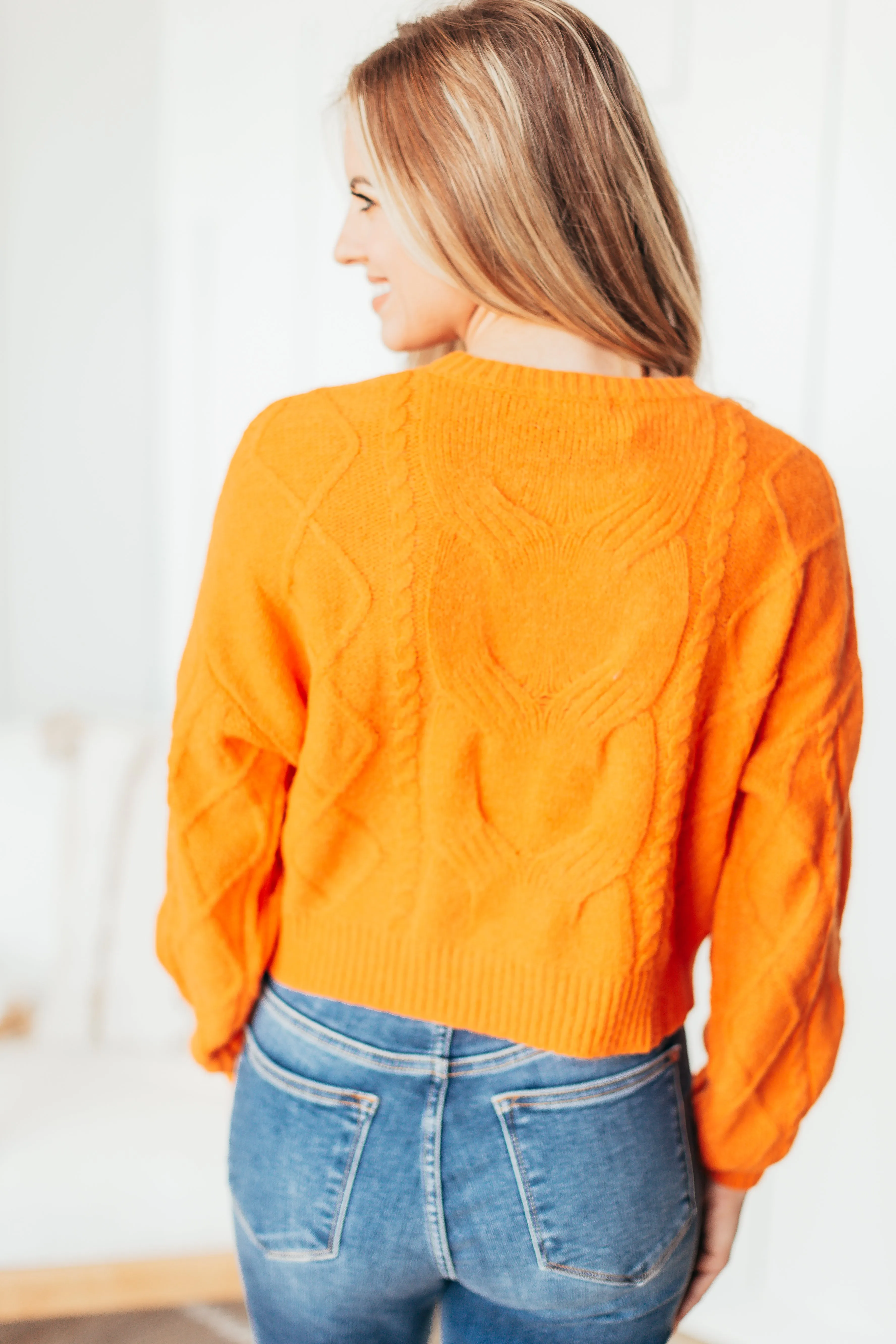 Micah Cable Sweater - 2 Colors