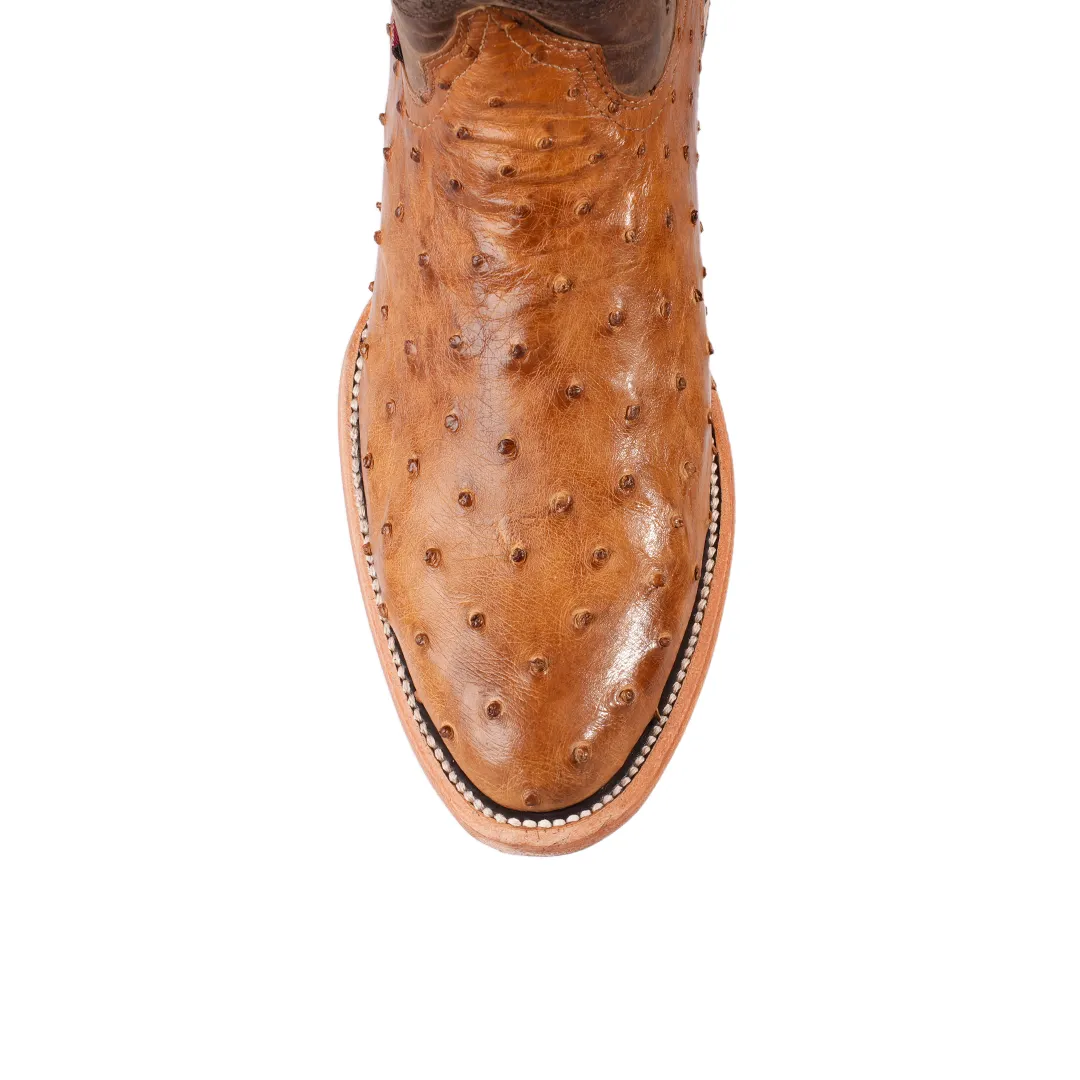 Texas Country Exotic Boot Ostrich Paja AVP60 H-Tacoma